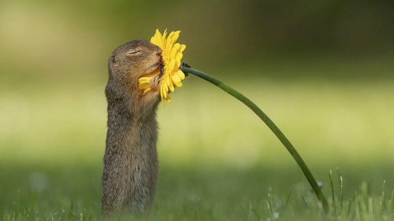 Onze missie is het verbeteren van de levenskwaliteit in Montfoort en Linschoten
